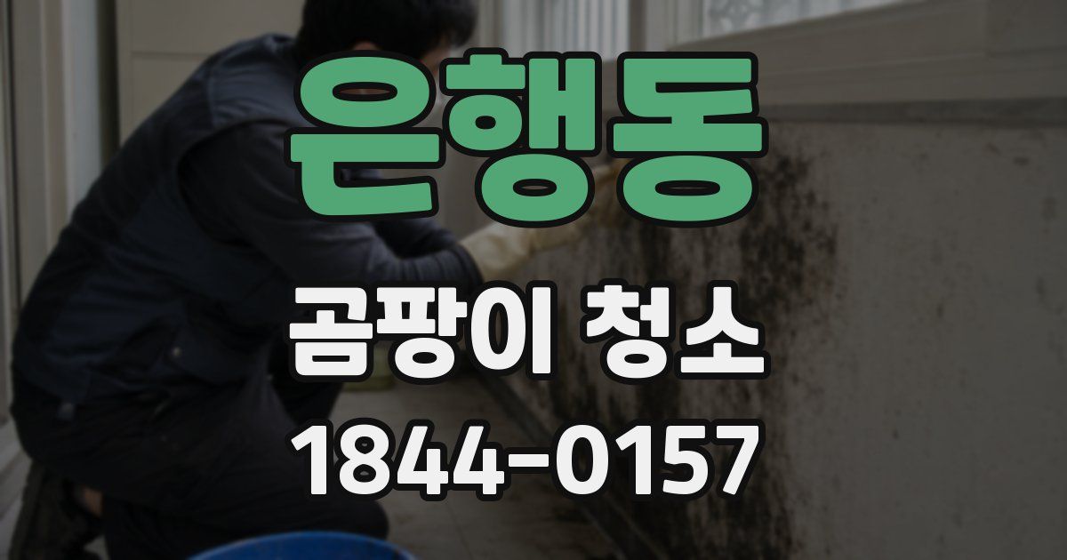 은행동 곰팡이 청소