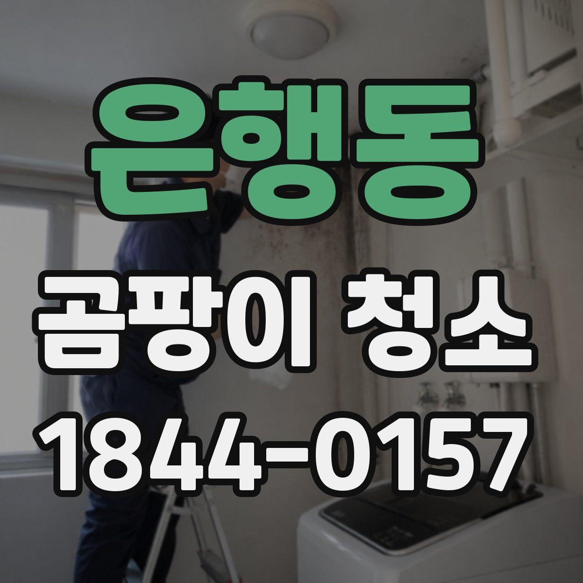 은행동 곰팡이 청소