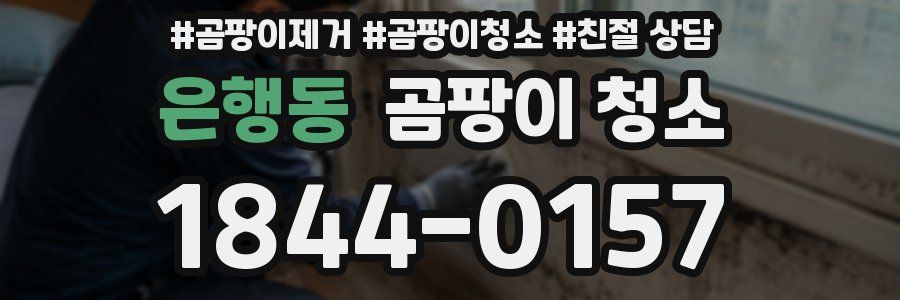 은행동 곰팡이 청소