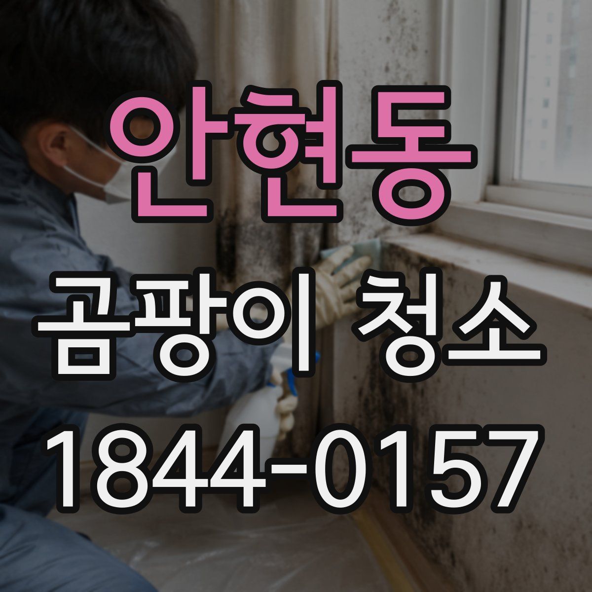 안현동 곰팡이 청소