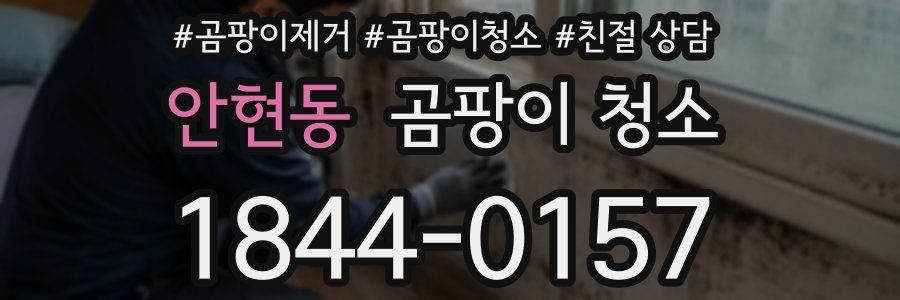 안현동 곰팡이 청소