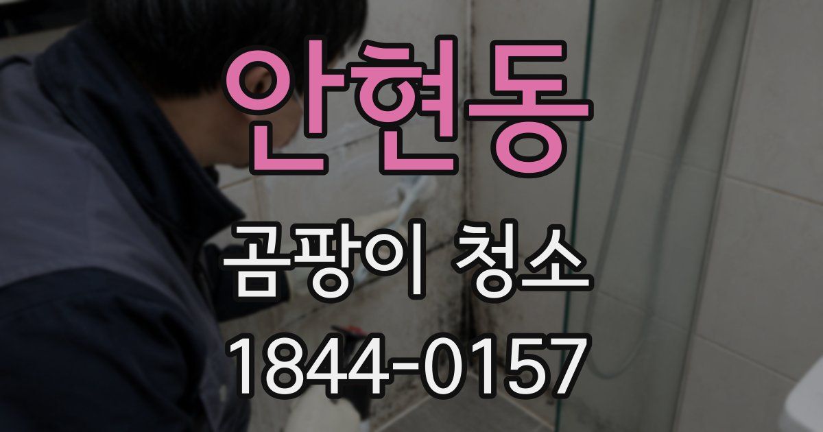 안현동 곰팡이 청소