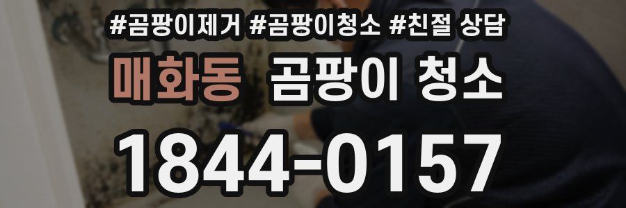 매화동 곰팡이 청소
