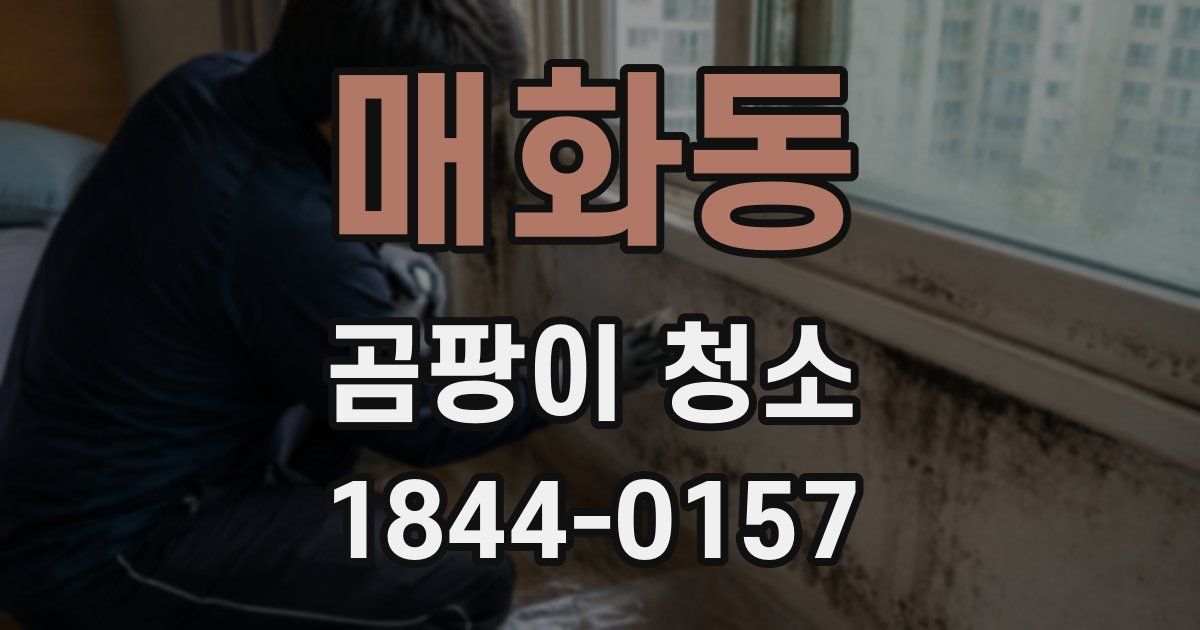매화동 곰팡이 청소
