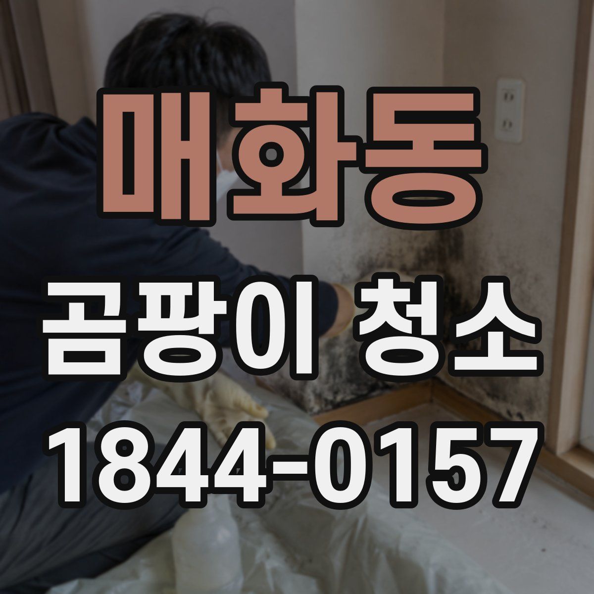 매화동 곰팡이 청소