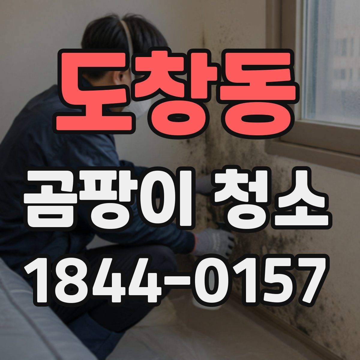 도창동 곰팡이 청소