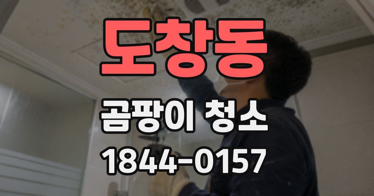 도창동 곰팡이 청소