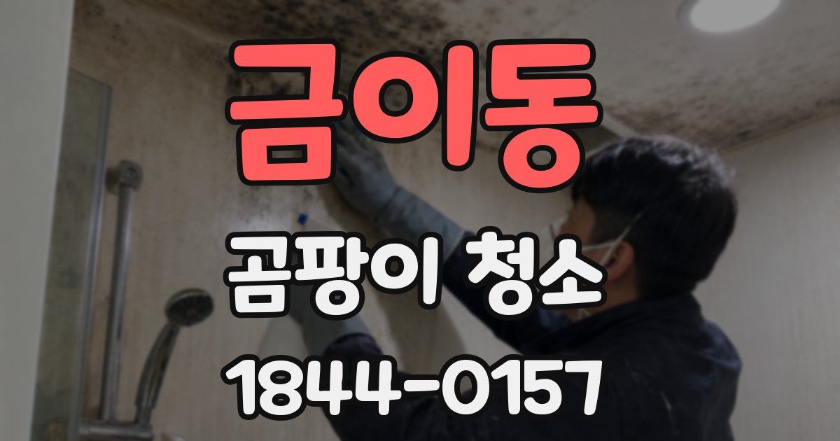 금이동 곰팡이 청소