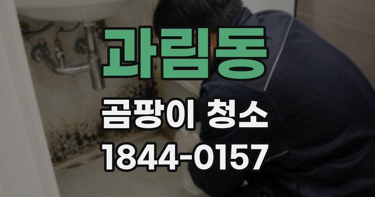 과림동 곰팡이 청소