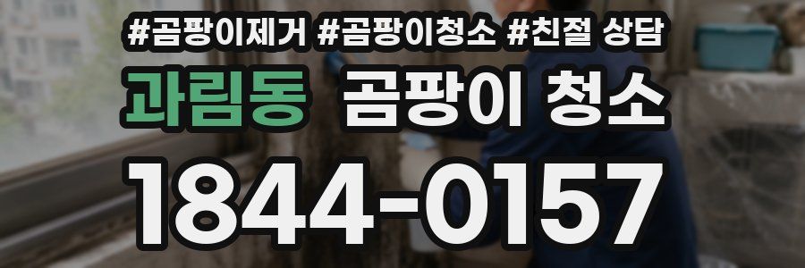 과림동 곰팡이 청소