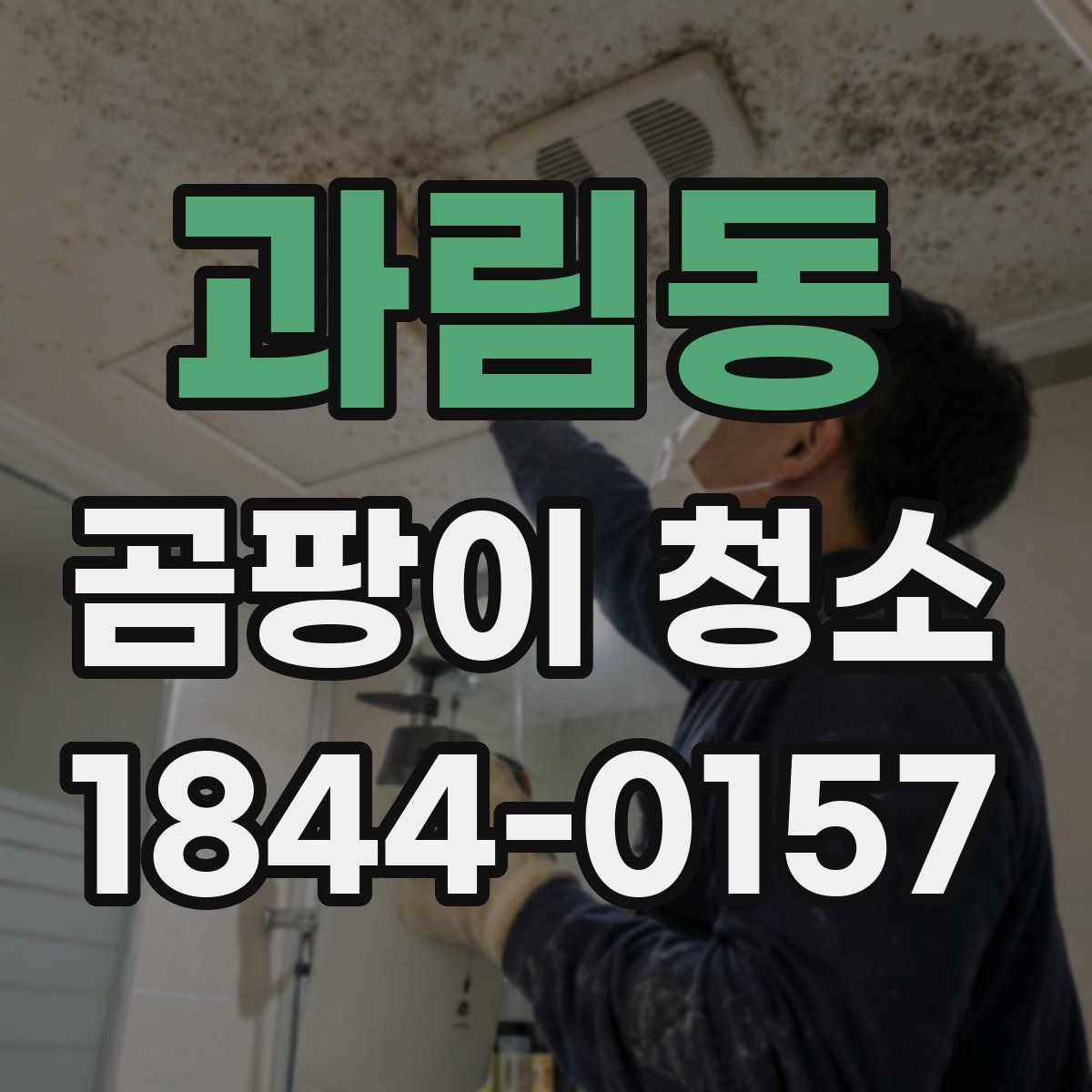과림동 곰팡이 청소