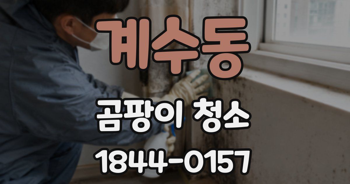 계수동 곰팡이 청소