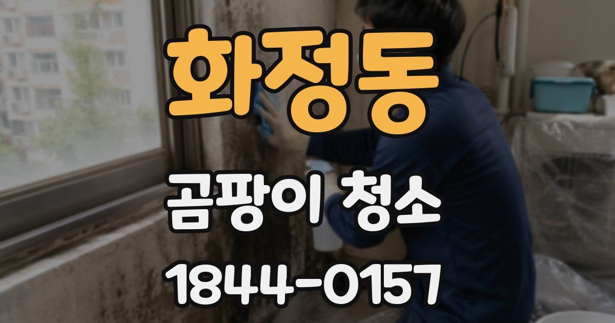 화정동 곰팡이 청소