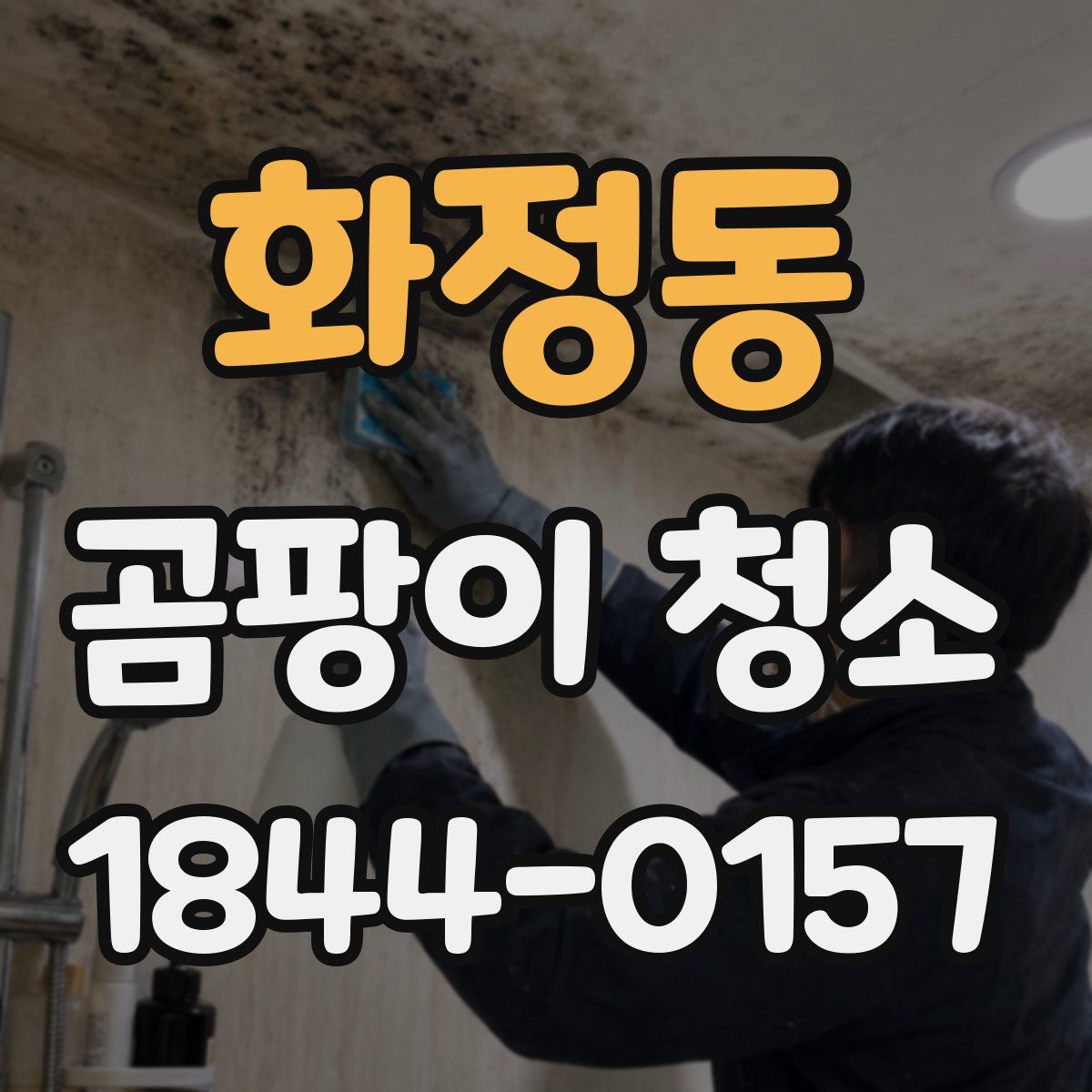 화정동 곰팡이 청소