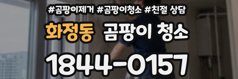 화정동 곰팡이 청소