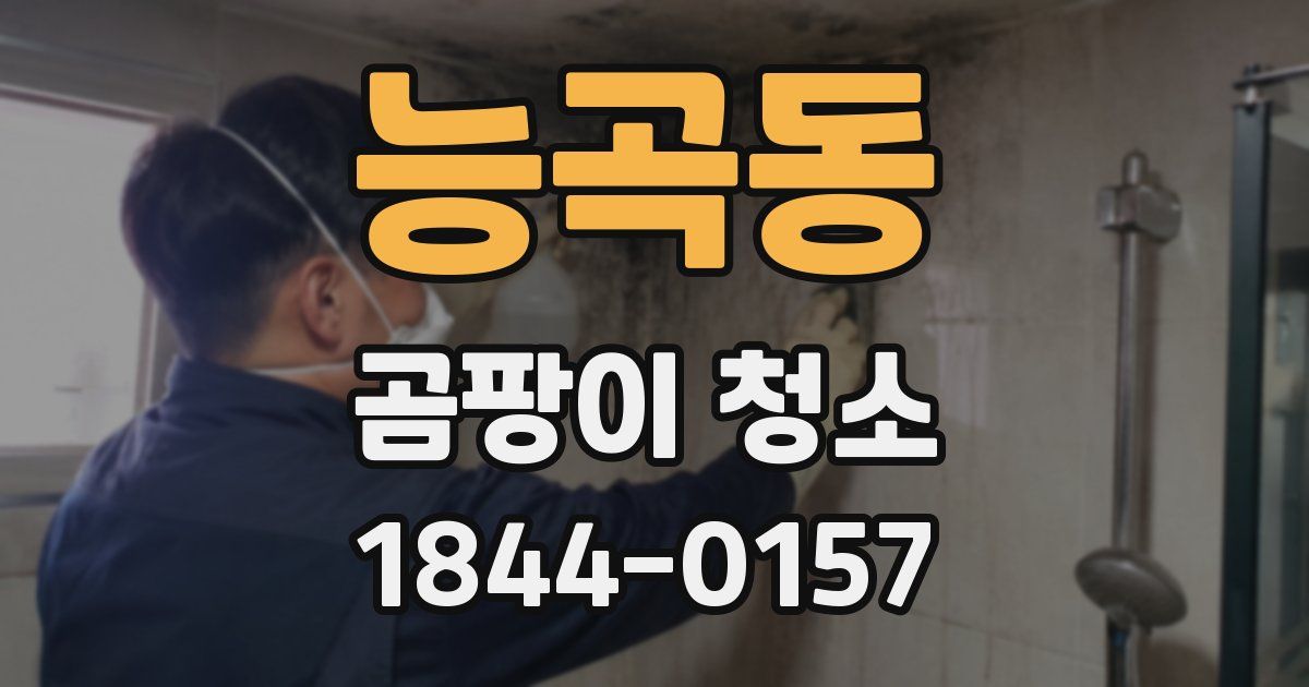 능곡동 곰팡이 청소
