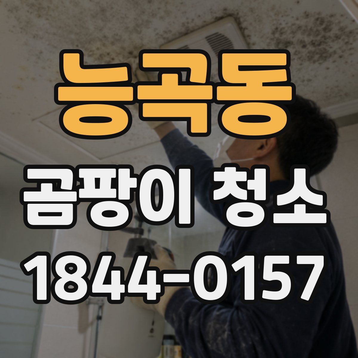 능곡동 곰팡이 청소