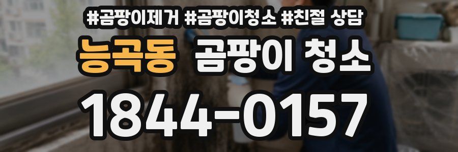 능곡동 곰팡이 청소