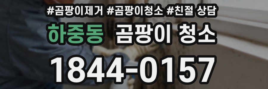 하중동 곰팡이 청소