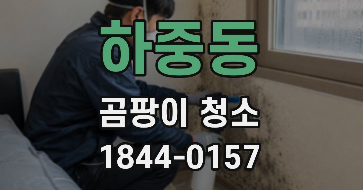 하중동 곰팡이 청소