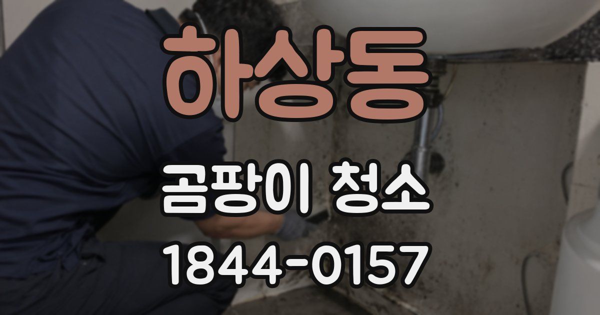 하상동 곰팡이 청소