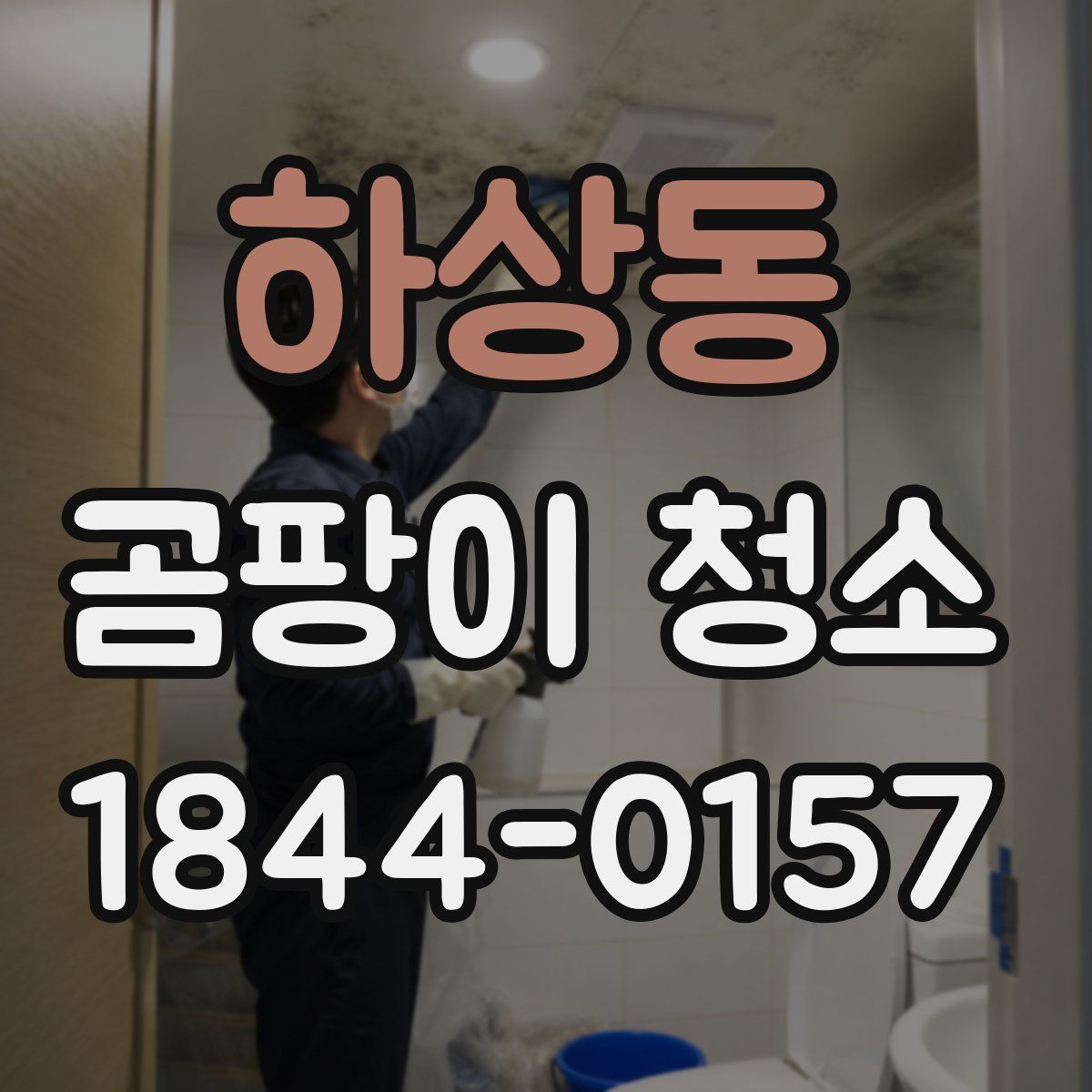 하상동 곰팡이 청소