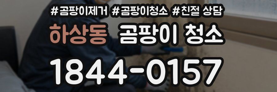 하상동 곰팡이 청소