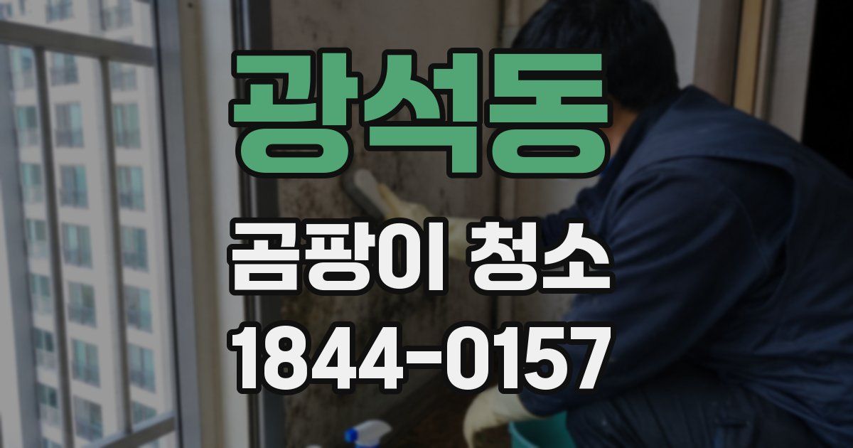 광석동 곰팡이 청소
