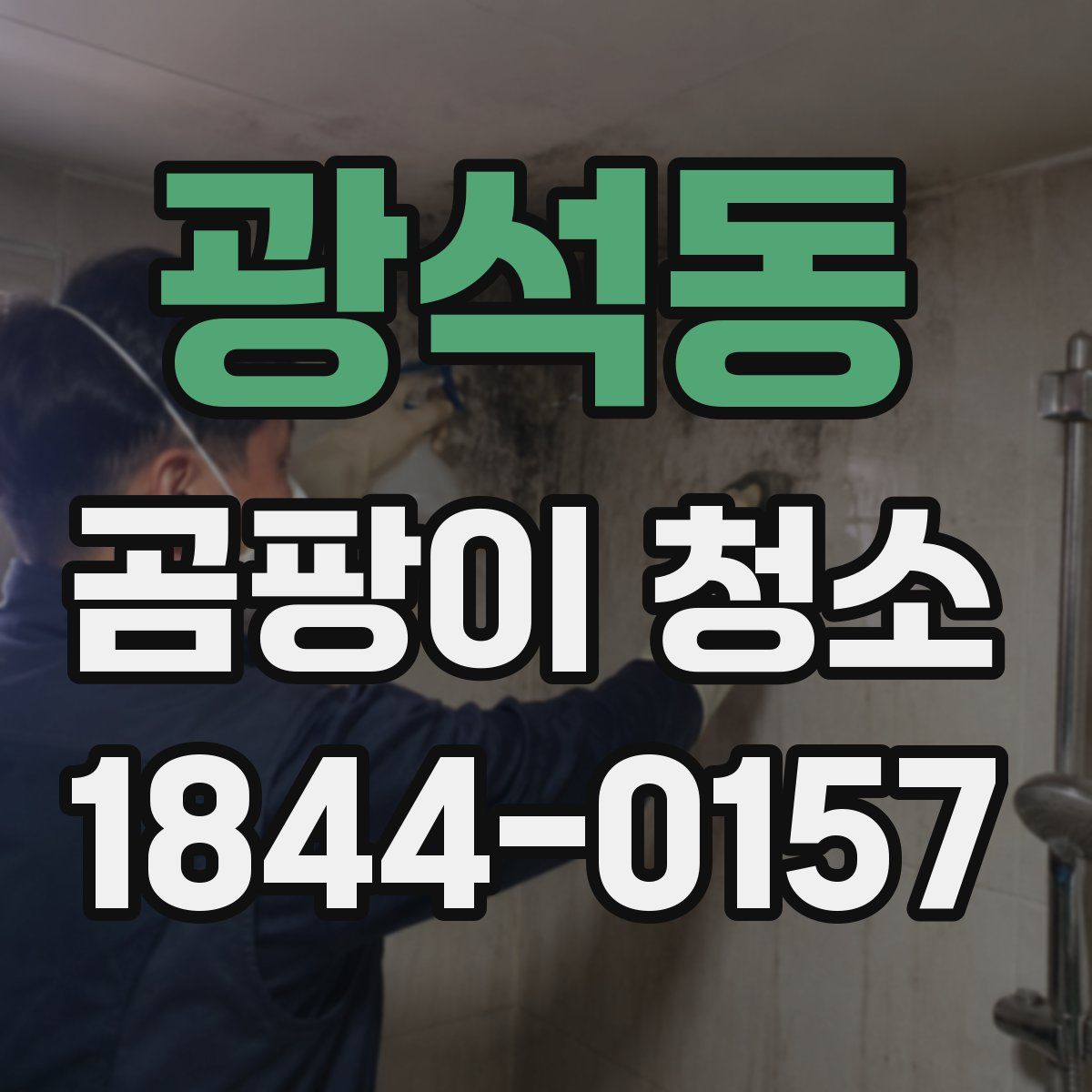 광석동 곰팡이 청소