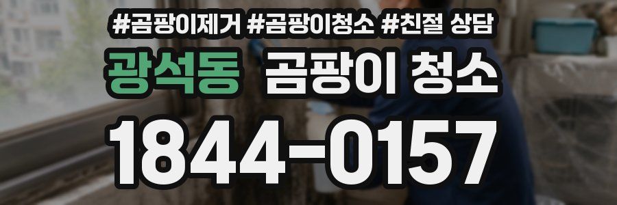 광석동 곰팡이 청소