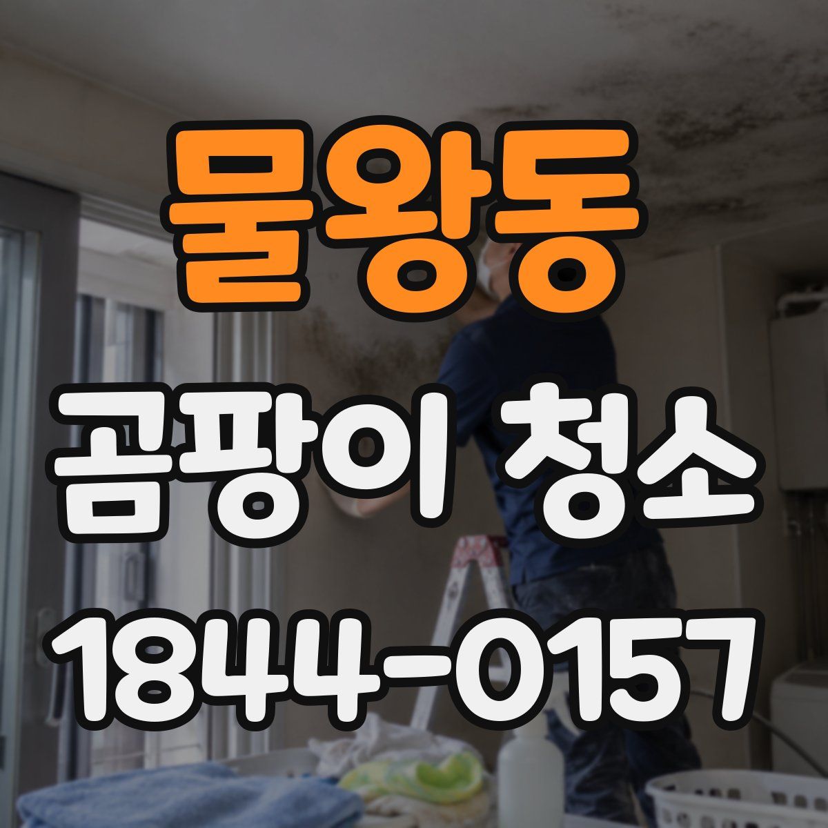물왕동 곰팡이 청소