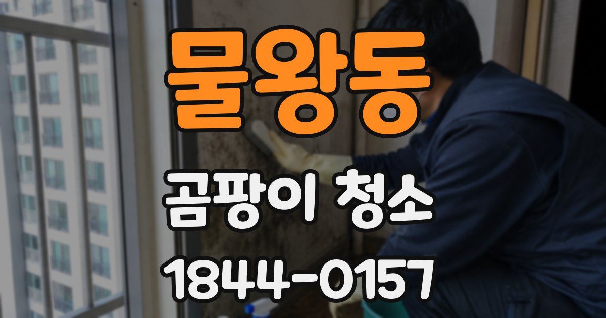물왕동 곰팡이 청소