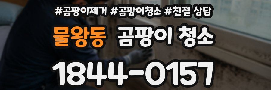 물왕동 곰팡이 청소