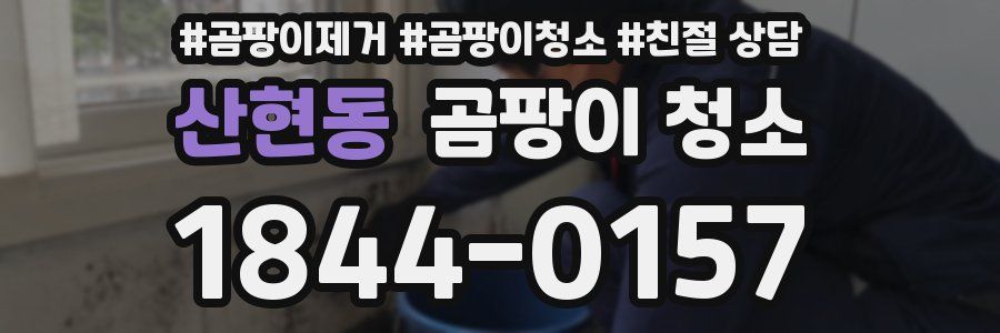 산현동 곰팡이 청소