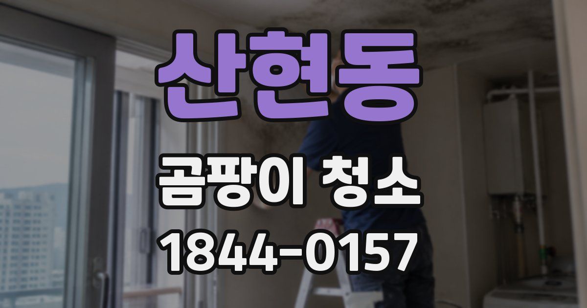 산현동 곰팡이 청소
