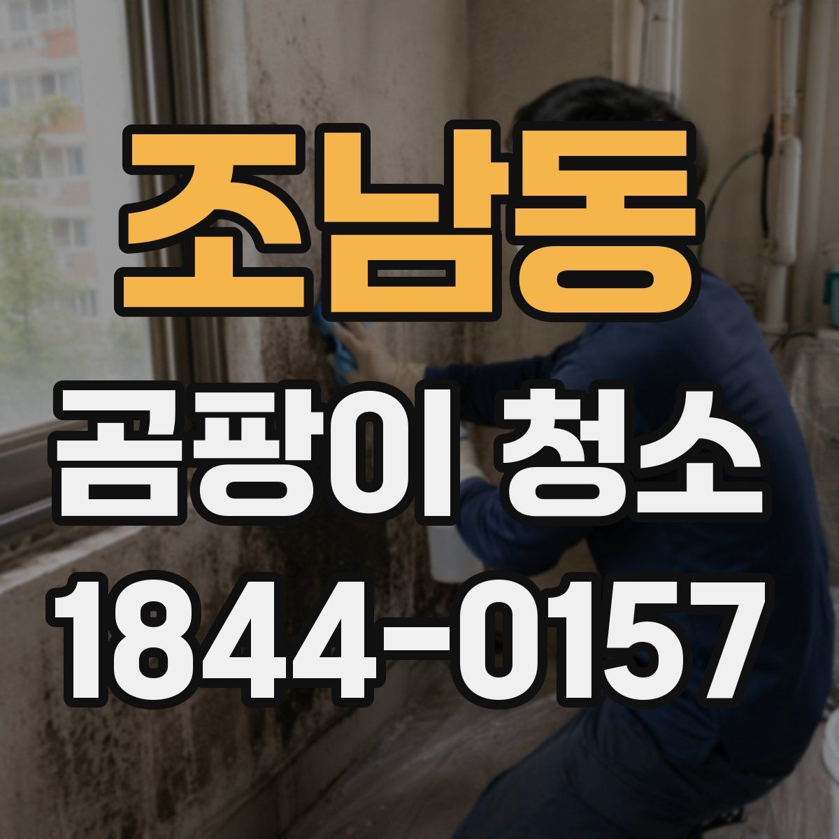조남동 곰팡이 청소