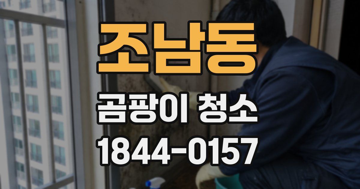 조남동 곰팡이 청소