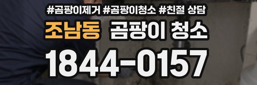조남동 곰팡이 청소
