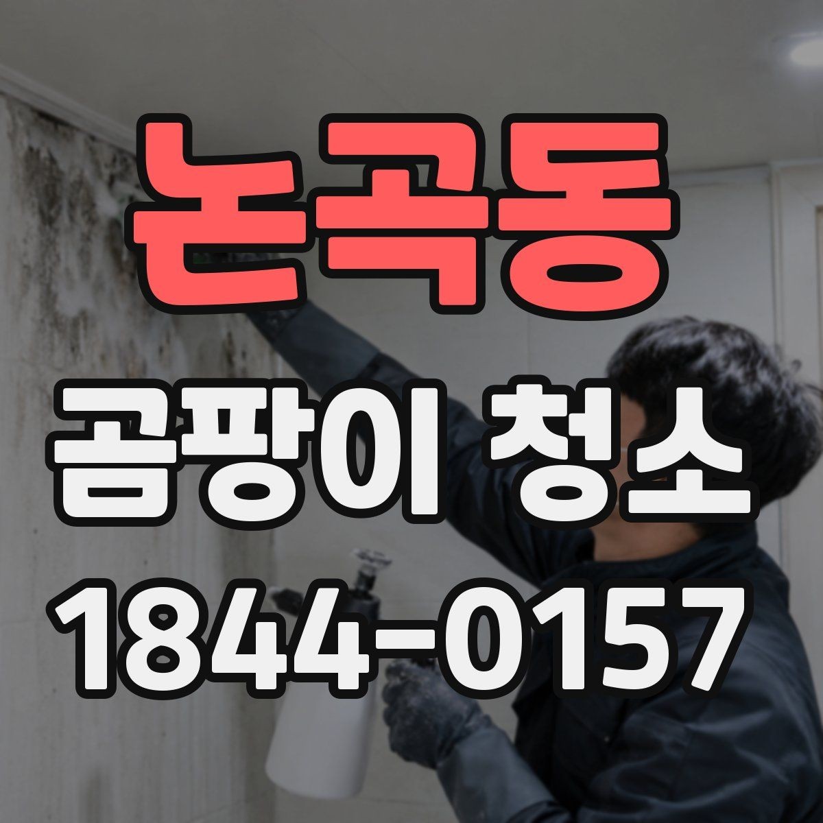 논곡동 곰팡이 청소 후 습도 관리 팁