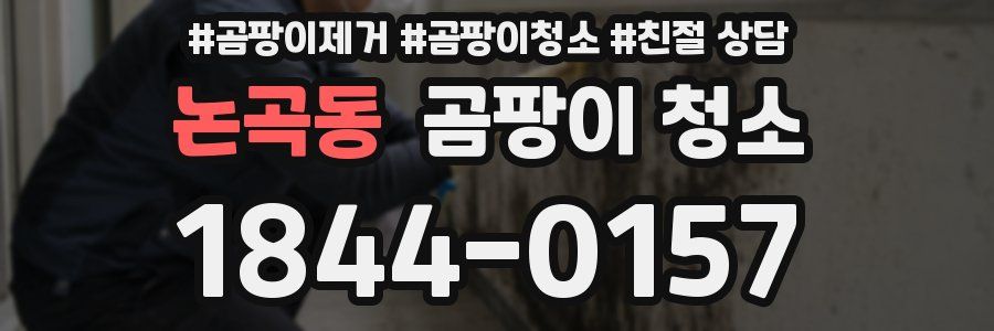 논곡동 곰팡이 청소