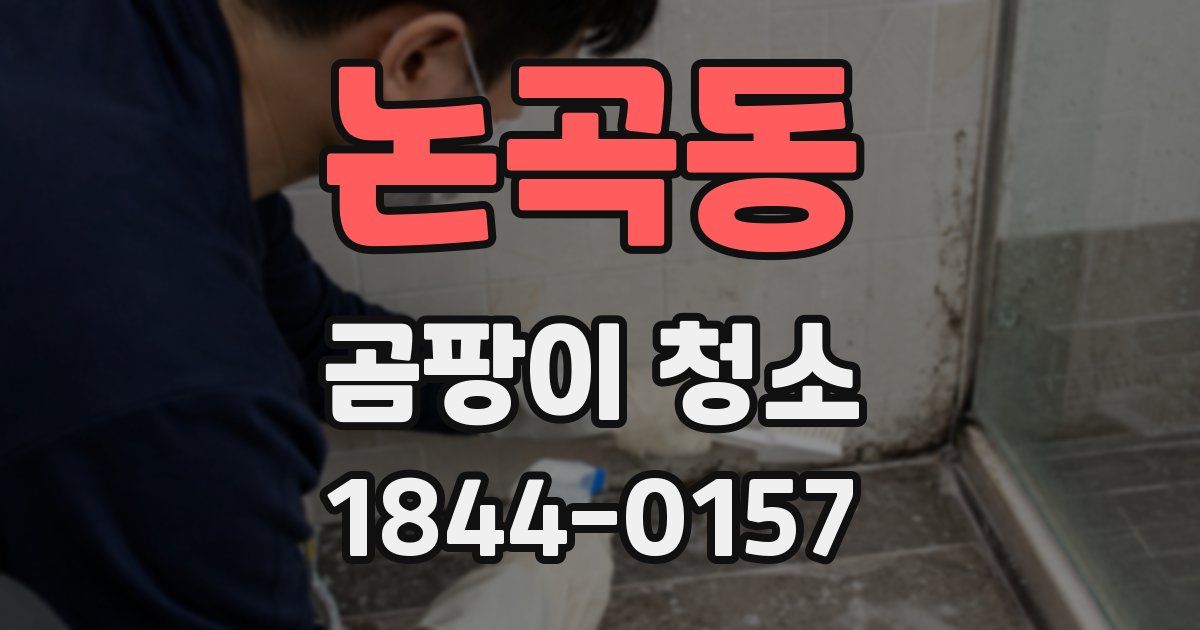 논곡동 곰팡이 청소