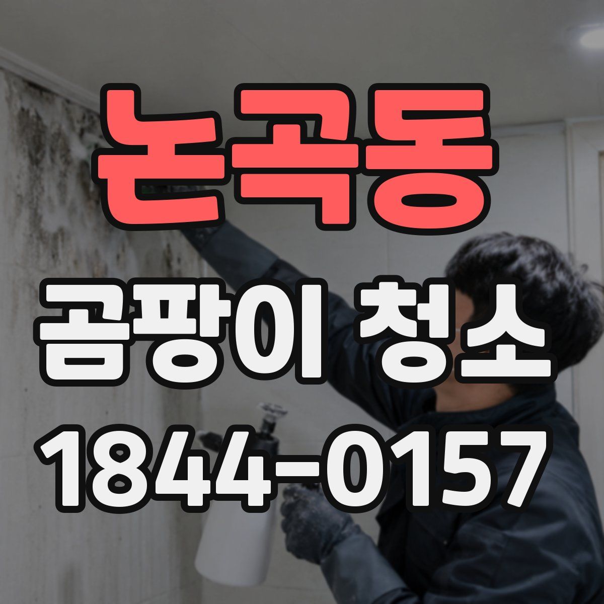 논곡동 곰팡이 청소