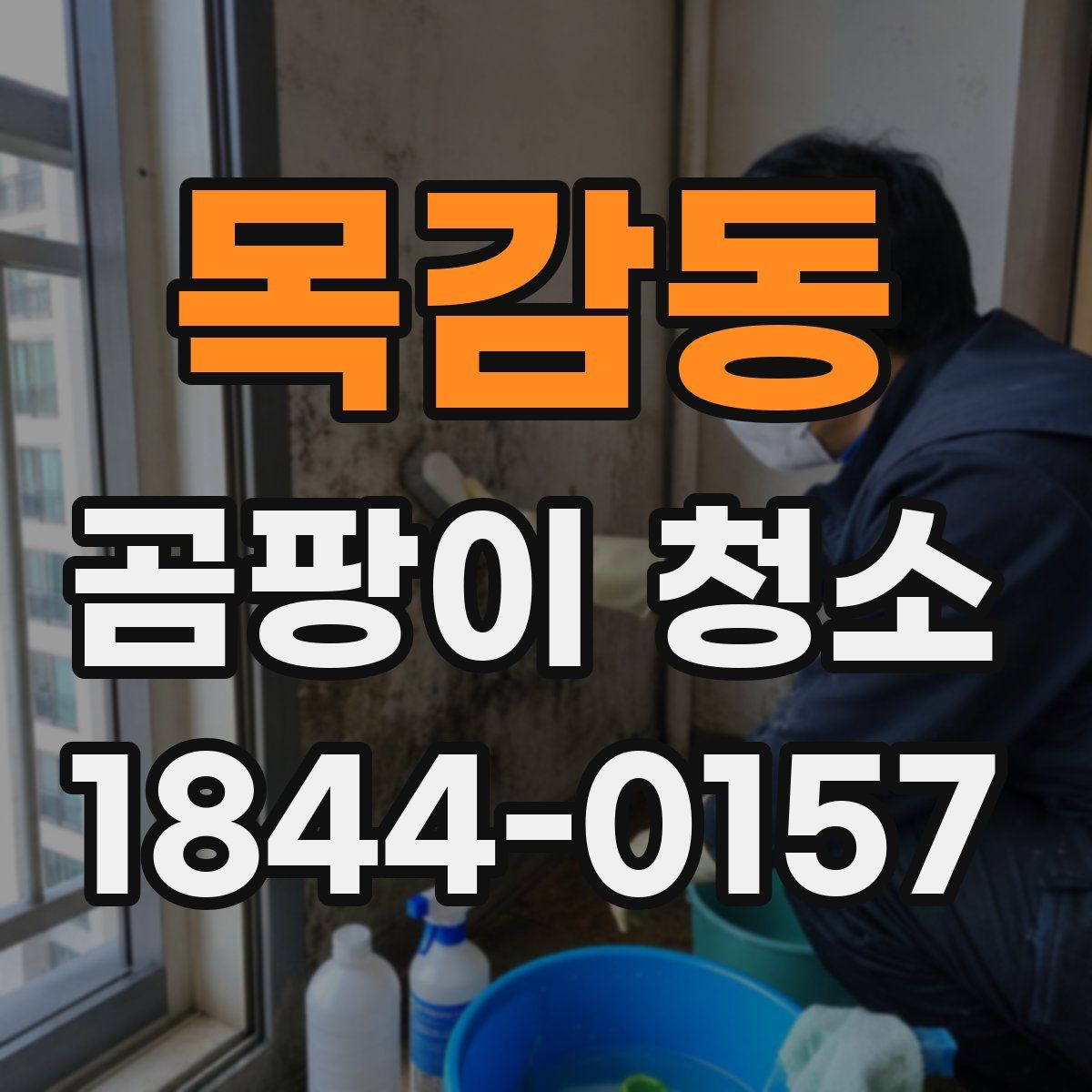목감동 곰팡이 청소