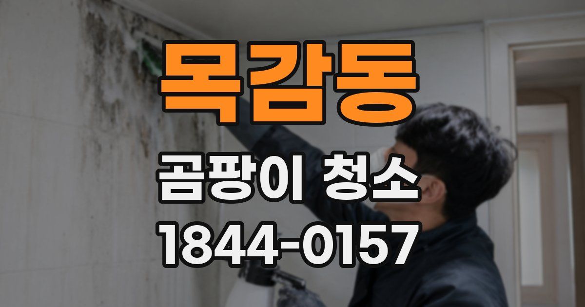 목감동 곰팡이 청소