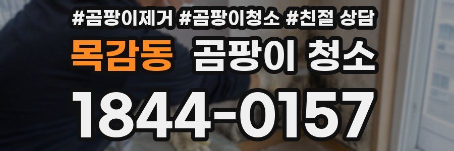 목감동 곰팡이 청소