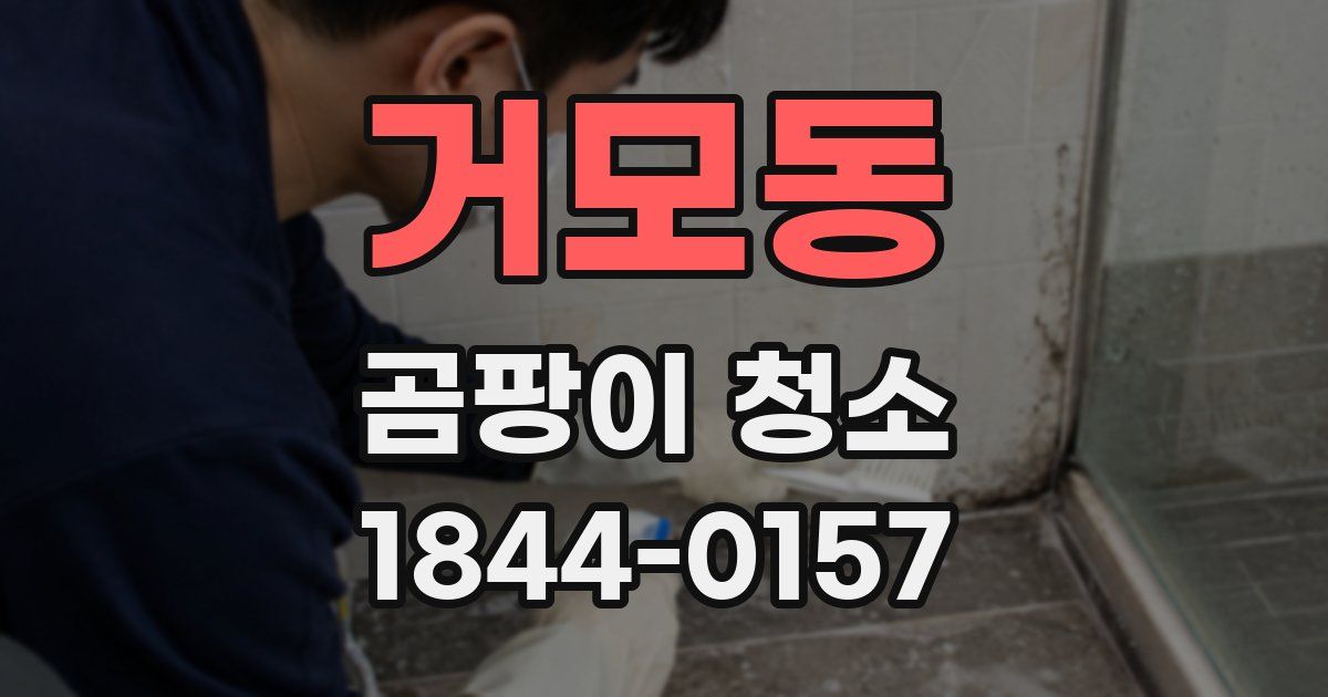 거모동 곰팡이 청소