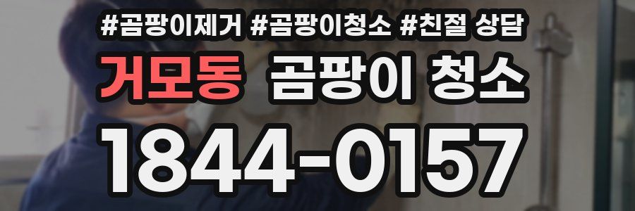 거모동 곰팡이 청소