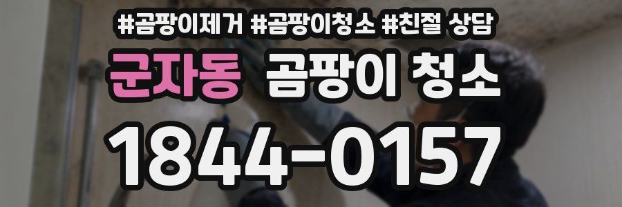 군자동 곰팡이 청소