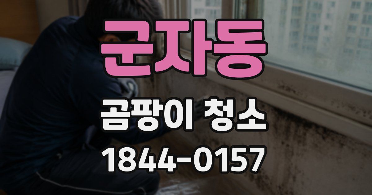 군자동 곰팡이 청소