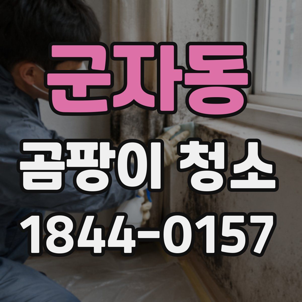 군자동 곰팡이 청소